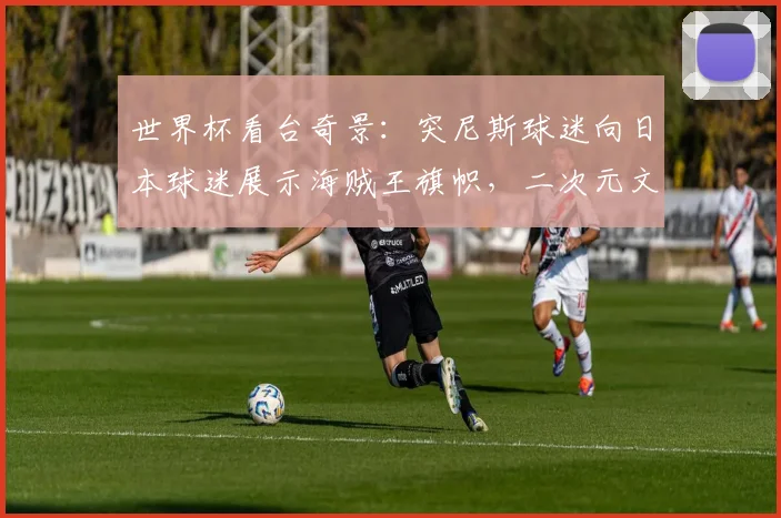 世界杯看台奇景：突尼斯球迷向日本球迷展示海贼王旗帜，二次元文化成2026年赛场新“语言”